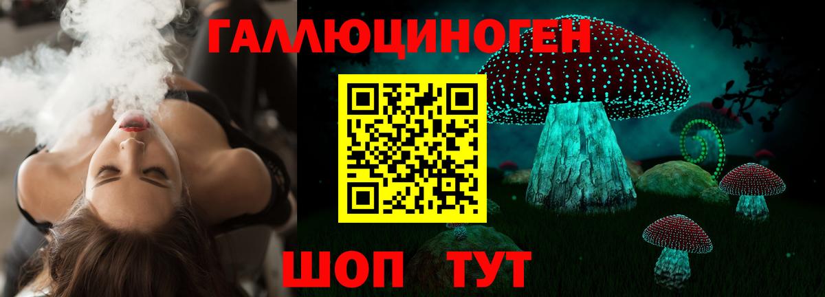 Выборг  Галлюциногенные грибы Psilocybine cubensis  Вход с VPN 