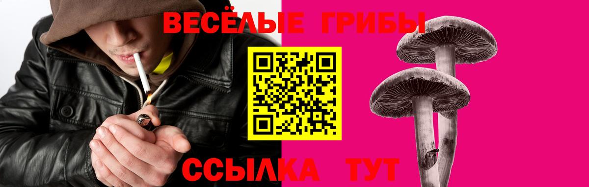 Галлюциногенные грибы Psilocybine cubensis Выборг